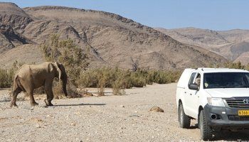 Selbstfahrer Reisen in Afrika